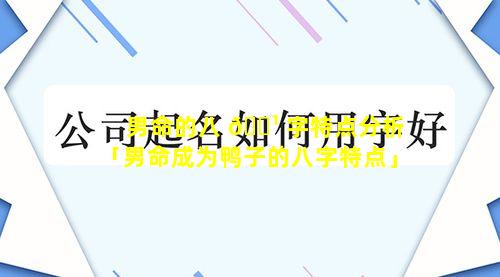 男命的八 🌹 字特点分析「男命成为鸭子的八字特点」